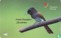 Asian Paradise Flycatcher - Bild 1