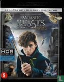 Fantastic Beasts and where to find them - Image 1