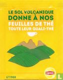 Volcanic Soil  - Image 2