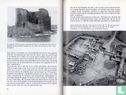 De ruïne van Heenvliet - Afbeelding 3