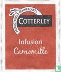 Infusion Camomille - Image 1