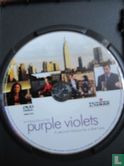 Purple Violets - Image 3