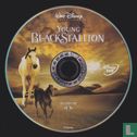 Young Black Stallion / La légende d'étalon noir - Afbeelding 3