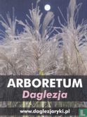 Arboretum Daglezja - Afbeelding 1