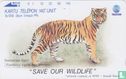 Sumatran tiger - Bild 1