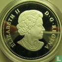 Kanada 20 Dollar 2014 (PP) "Bison - A portrait" - Bild 2