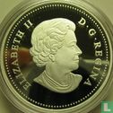 Canada 20 dollars 2014 (PROOF) "Bison - A family at rest" - Image 2