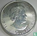 Canada 8 dollars 2016 "Bison" - Afbeelding 2