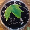 Canada 20 dollars 2008 (PROOF) "Crystal Raindrop" - Afbeelding 1