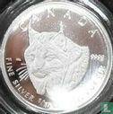 Canada 2 dollars 2005 (BE) "Lynx" - Image 2
