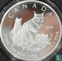 Canada 5 dollars 2005 (PROOF) "Lynx" - Afbeelding 2