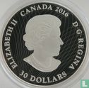 Kanada 30 Dollar 2016 (PP) "Northern lights in the moonlight" - Bild 1