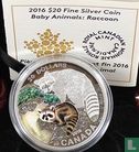 Kanada 20 Dollar 2016 (PP) "Baby animals - Racoon" - Bild 3