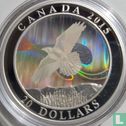 Canada 20 dollars 2015 (PROOF) "Northern lights - Raven" - Image 1