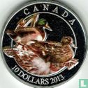 Canada 10 dollars 2013 (PROOF) "Mallard duck" - Afbeelding 1