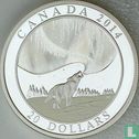 Canada 20 dollars 2014 (PROOF) "Northern lights - Howling wolf" - Afbeelding 1