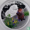 Canada 20 dollars 2016 (PROOF) "Baby animals - Woodchuck" - Afbeelding 1