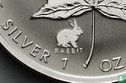 Canada 5 dollars 1999 (zilver - met konijn privy merk) - Afbeelding 3