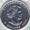 Canada 5 dollars 2007 (zilver - kleurloos - zonder privy merk) - Afbeelding 1