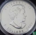 Canada 5 dollars 2007 (zilver - gekleurd) - Afbeelding 1