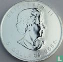 Canada 5 dollars 2008 (zilver - kleurloos - zonder privy merk) - Afbeelding 1