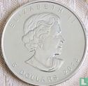 Canada 5 dollars 2013 (kleurloos) "25th anniversary Maple Leaf" - Afbeelding 1