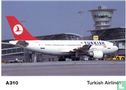 THY Turkish Airlines - Airbus A-310 - Bild 1