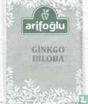 Ginkgo Biloba - Bild 1
