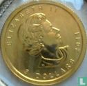 Canada 5 dollars 2011 (goud)