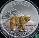 Canada 5 dollars 2011 (coloured) "Grizzly bear" - Image 2