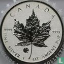 Canada 5 dollars 2011 (PROOF - met F15 privy merk) - Afbeelding 2