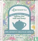 Spearmint Orange Spice  - Image 1