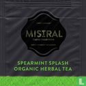 Spearmint Splash - Image 1