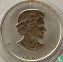 Canada 5 dollars 2013 (gekleurde 25) "25th anniversary Maple Leaf" - Afbeelding 1