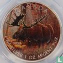 Canada 5 dollars 2012 (beide zijden gekleurd) "Moose" - Afbeelding 2
