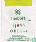 Obes - 4 - Image 2