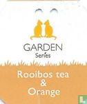 Rooibos tea & Orange - Afbeelding 3