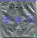 Sencha Currant  - Image 1