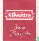 Rosa Mosqueta - Bild 1