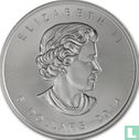 Canada 5 dollars 2014 (argent - non coloré - avec marque d'atelier) - Image 1