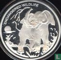 Congo-Kinshasa 10 francs 2007 (PROOF) "Endangered wildlife - Elephant" - Image 2