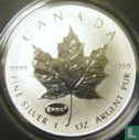 Kanada 5 Dollar 2015 (Silber - ungefärbte - mit E=mc2 Privy Marke) - Bild 2