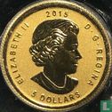 Canada 5 dollars 2015 (goud - met E=mc2 privy merk) - Afbeelding 1