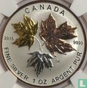 Canada 5 dollars 2016 (PROOF) "Elizabeth II - Longest reigning sovereign" - Image 1