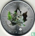 Canada 5 dollars 2017 "Norwegian forest Cat" - Afbeelding 2