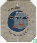 The Big Sleep - Image 3