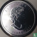 Canada 5 dollars 2014 (gekleurd - groen) - Afbeelding 1