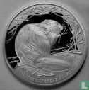 Hongarije 3000 forint 2000 (PROOF) "European beaver" - Afbeelding 2