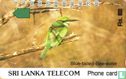 Blue-tailed-Bee-eater - Bild 1