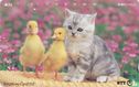 Cat with little Ducks - Image 1